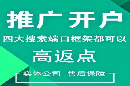 成功案例：一家SEM外包公司的成长与蜕变